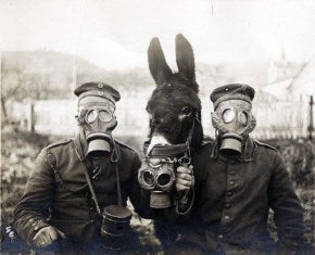 The Hidden Cool Side of Gas Masks - Some Fun Facts You Might Not Have Known