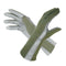 Sage/Grey