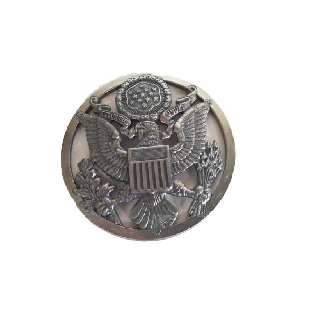 Vintage US Air Force Enlisted Men's Service Cap Insignia Pin